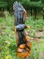 Sideways Eagle - Yellow Pine